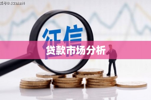 楠西贷款市场分析