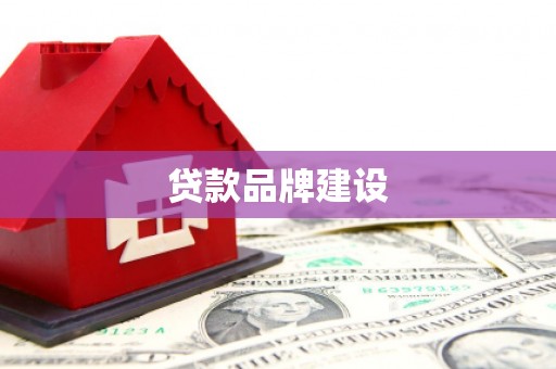 楠西贷款品牌建设