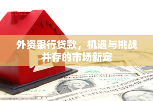 楠西外资银行贷款，机遇与挑战并存的市场新宠