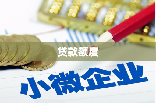 楠西贷款额度