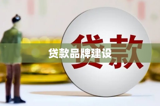 楠西贷款品牌建设
