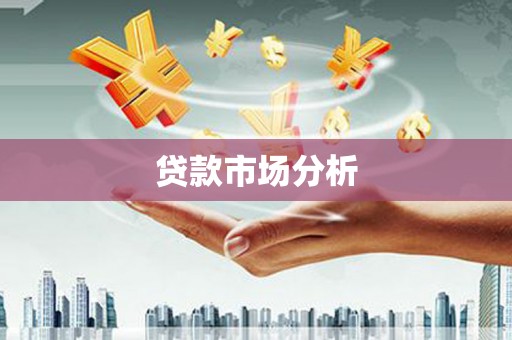 楠西贷款市场分析