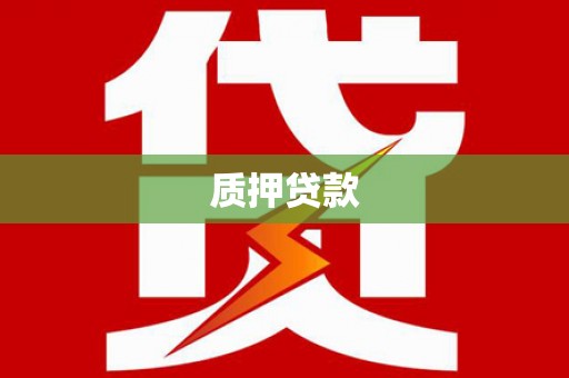 楠西质押贷款