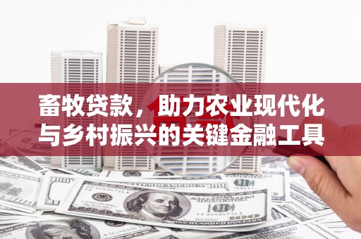 楠西畜牧贷款，助力农业现代化与乡村振兴的关键金融工具