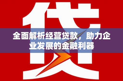楠西全面解析经营贷款，助力企业发展的金融利器