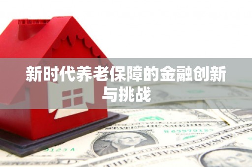 楠西新时代养老保障的金融创新与挑战