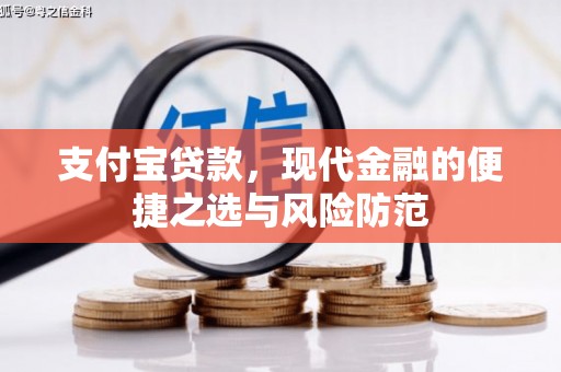 楠西支付宝贷款，现代金融的便捷之选与风险防范