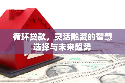楠西循环贷款，灵活融资的智慧选择与未来趋势
