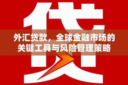 楠西外汇贷款，全球金融市场的关键工具与风险管理策略