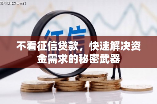 楠西不看征信贷款，快速解决资金需求的秘密武器