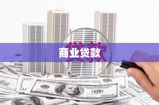 楠西商业贷款