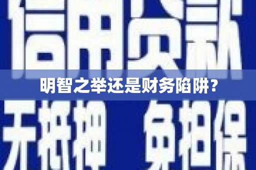 楠西明智之举还是财务陷阱？