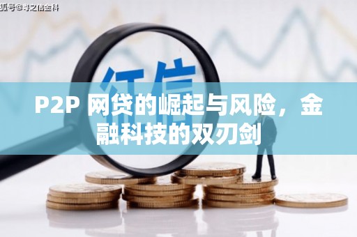 楠西P2P 网贷的崛起与风险，金融科技的双刃剑