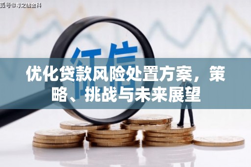 楠西优化贷款风险处置方案，策略、挑战与未来展望