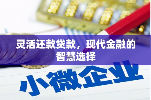 楠西灵活还款贷款，现代金融的智慧选择
