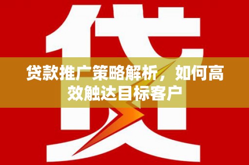 楠西贷款推广策略解析，如何高效触达目标客户
