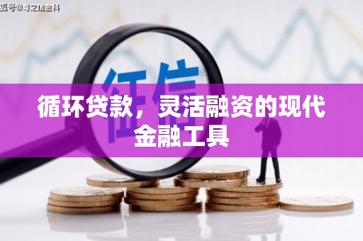 楠西循环贷款，灵活融资的现代金融工具