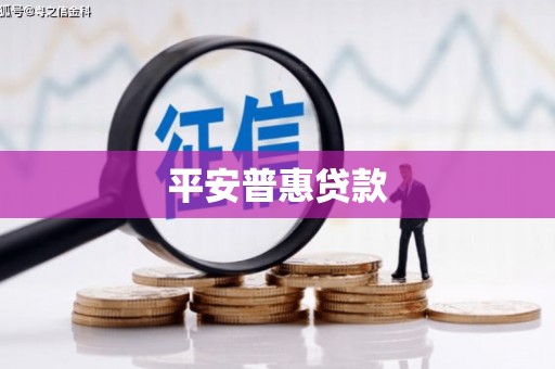 楠西平安普惠贷款