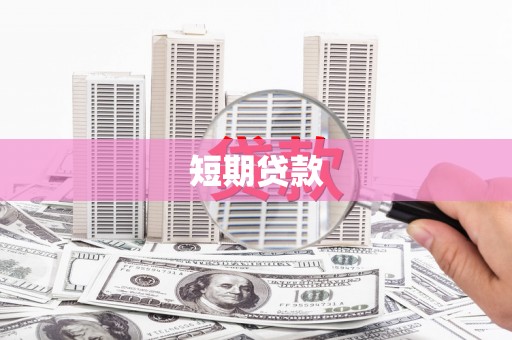 楠西短期贷款