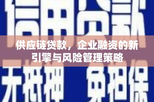 楠西供应链贷款，企业融资的新引擎与风险管理策略