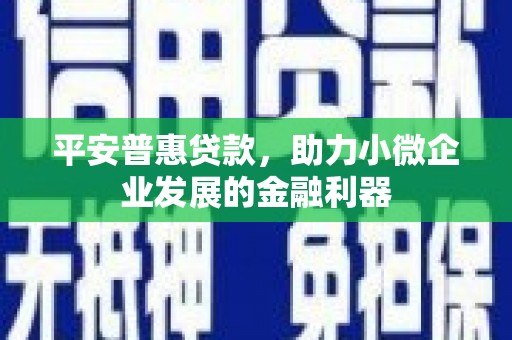 楠西平安普惠贷款，助力小微企业发展的金融利器