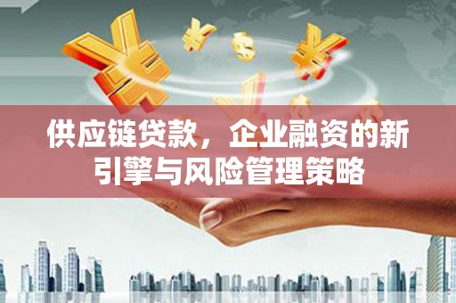 楠西供应链贷款，企业融资的新引擎与风险管理策略