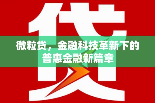 楠西微粒贷，金融科技革新下的普惠金融新篇章