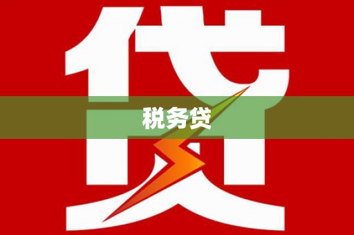 楠西税务贷