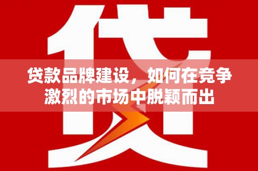 楠西贷款品牌建设，如何在竞争激烈的市场中脱颖而出