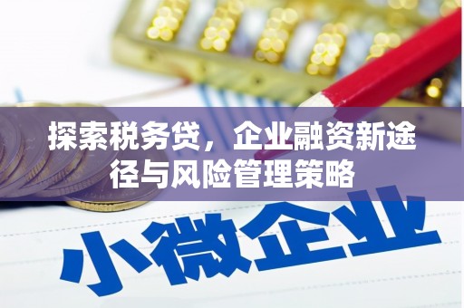 楠西探索税务贷，企业融资新途径与风险管理策略