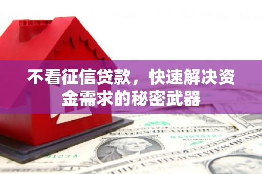 楠西不看征信贷款，快速解决资金需求的秘密武器