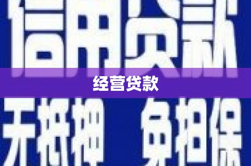 楠西经营贷款