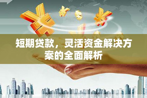 楠西短期贷款，灵活资金解决方案的全面解析