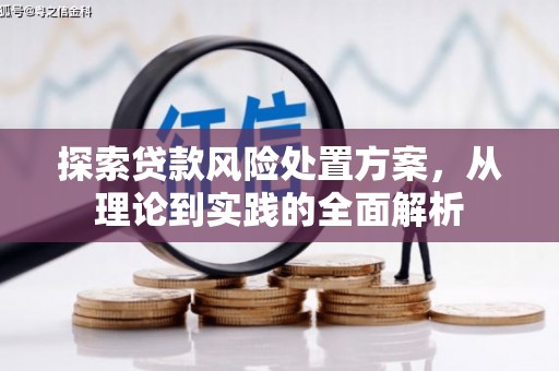 楠西探索贷款风险处置方案，从理论到实践的全面解析