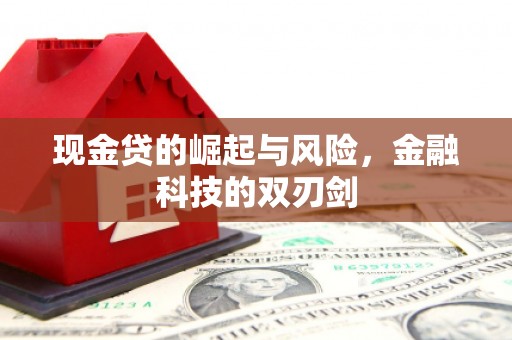 楠西现金贷的崛起与风险，金融科技的双刃剑