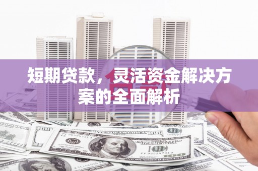 楠西短期贷款，灵活资金解决方案的全面解析