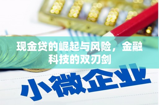 楠西现金贷的崛起与风险，金融科技的双刃剑