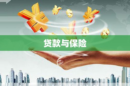 楠西贷款与保险