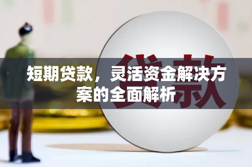 楠西短期贷款，灵活资金解决方案的全面解析