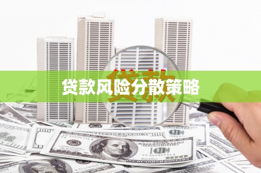 楠西贷款风险分散策略
