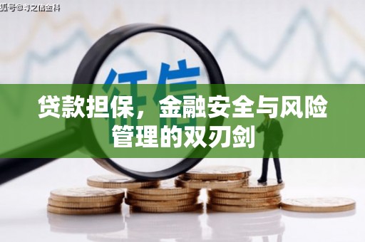 楠西贷款担保，金融安全与风险管理的双刃剑