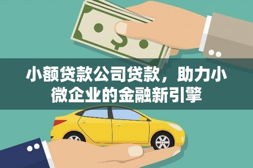 楠西小额贷款公司贷款，助力小微企业的金融新引擎