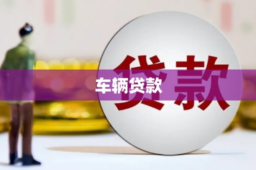 楠西车辆贷款