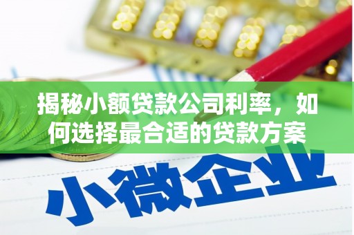 楠西揭秘小额贷款公司利率，如何选择最合适的贷款方案