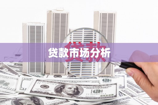 楠西贷款市场分析