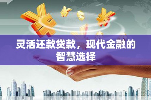 楠西灵活还款贷款，现代金融的智慧选择
