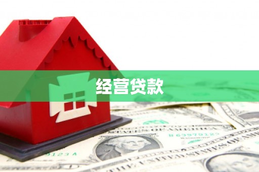 楠西经营贷款
