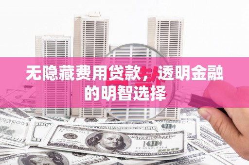 楠西无隐藏费用贷款，透明金融的明智选择