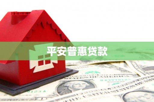 楠西平安普惠贷款