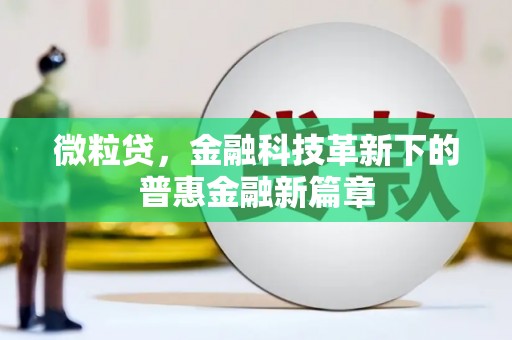楠西微粒贷，金融科技革新下的普惠金融新篇章